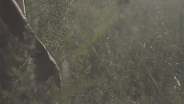 young woman walking through the valley. Hands touching high grass S-log, ungraded