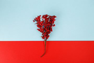 Christmas decoration with red berries on blue and red background