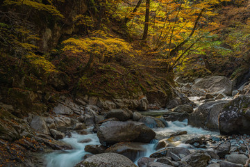 Nishizawa Valley in autumn with river in Chichibu-Tama-Kai National Park in Yamanashi prefecture.