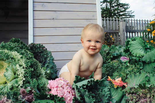 little baby sitting in the cabbage