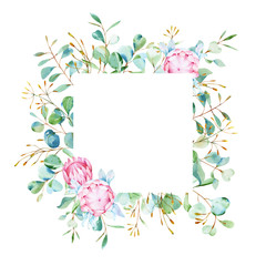 Watercolor eucalyptus and pink protea frame. exotic floral for wedding.  Silver dollar eucalyptus. Hand painted floral illustration  isolated on white background. For wedding, design or print.
