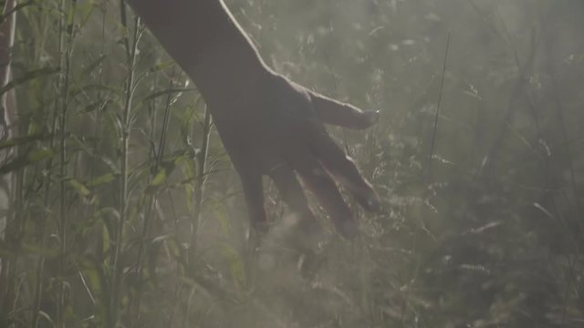 young woman walking through the valley. Hands touching high grass S-log, ungraded