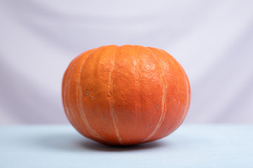 Autumn orange Pumpkin Thanksgiving Background