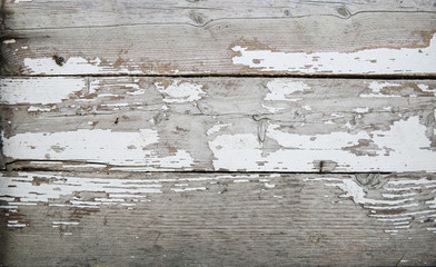 Naklejka premium Wood Texture And Wood Background