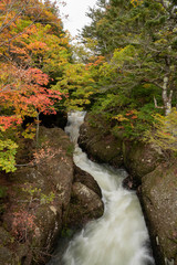 秋の滝の風景