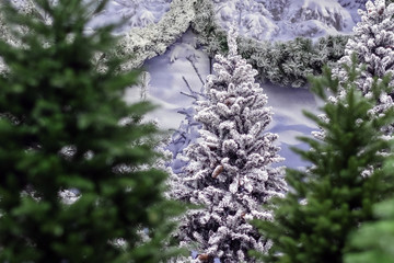 Artificial Christmas trees powdered with snow. The traditional symbol of the holidays is Christmas and New Year.