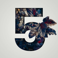 Nature concept. Creative number with autumn and burgundy leaves on a gray background. Creative typography, Chapter in the presentation, template. 5 number five.