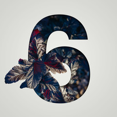Nature concept. Creative number with autumn and burgundy leaves on a gray background. Creative...