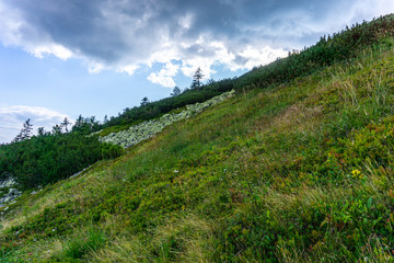 Beautiful view of the mountains and dark clouds. Western Carpathians, Slovakia, Little Fatra.