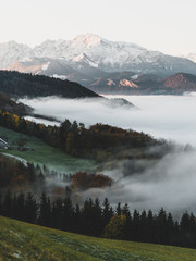 Fototapeta premium Nebel Sonnenaufgang