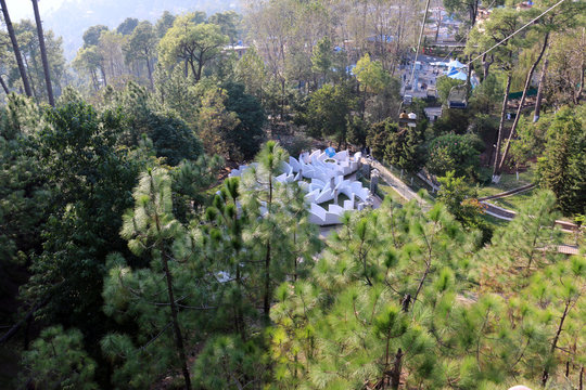 Lush Green Pine Trees Forest and beautiful Landscape of Patriata, New Murree, Punjab, Pakistan