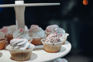 Selective focus of cute delicious cupcakes served on plate. Closeup of yummy desserts with cream staying on table. Concept of wedding candy bar, desserts and confectionery.