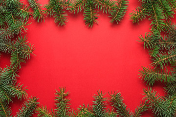 Fototapeta na wymiar Christmas background. Frame made of fir tree branches on red background. Flat lay. top view