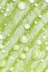 Water droplets and the color of raindrops in the rainy season