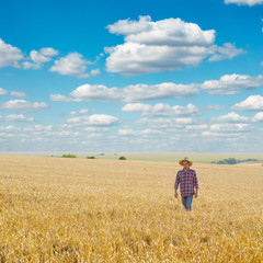 Naklejka na ściany i meble Farmer in straw hat walks on harvest ready wheat field