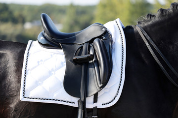 Side view of a black leather saddle on a horse's back. Close-up, cropped shot, horizontal. Sport...
