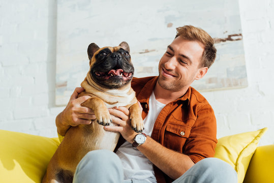 Happy man holding funny french bulldog on sofa in living room