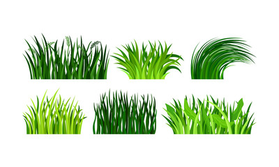 Six Types Of Different Tufts Of Green Grass Vector Illustration Set