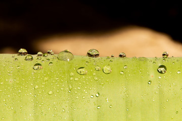 Water droplets and the color of raindrops in the rainy season
