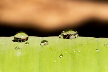 Water droplets and the color of raindrops in the rainy season