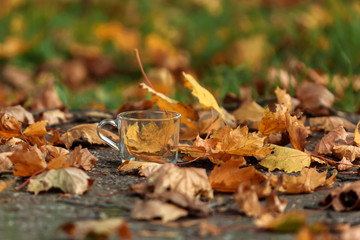 Autumn leaves and a Cup on the street