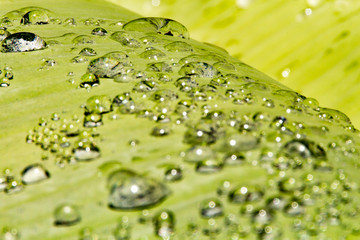 Water droplets and the color of raindrops in the rainy season