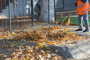 A cleaning lady cleans the dead side of the maple leaves from the sidewalk.