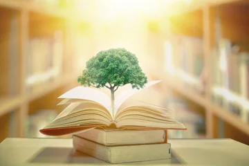 Fotobehang education concept with tree of knowledge planting on opening old big book in library with textbook, stack piles of text archive and aisle of bookshelves in school study class room © Ping198