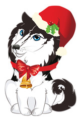 Husky in Santa hat