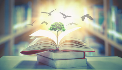  The concept of education by planting knowledge trees and birds flying to the future to open old books in the library, beautiful blurred background