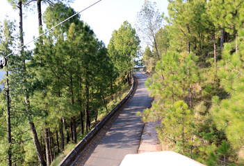 Lush Green Pine Trees Forest Landscape and Patriata Chairlift, New Murree, Punjab, Pakistan