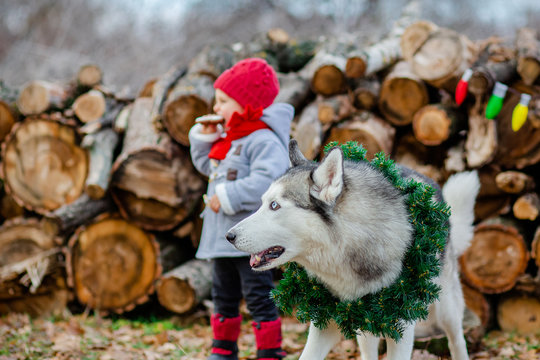 Little girl and boy play and eat cookies at the Christmas tree outdoors.