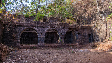 Ruins of Yashwantgad Fort. Old walls covered by trees, Redi, Maharashtra