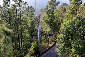 Lush Green Pine Trees Forest Landscape and Patriata Chairlift, New Murree, Punjab, Pakistan