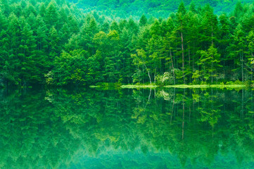 緑萌える池、御射鹿池