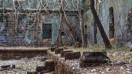 Ruins of Yashwantgad Fort. Old walls covered by trees, Redi, Maharashtra