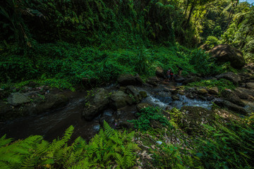 Fototapeta na wymiar A beautiful view of Goah Raja Waterfall in Bali, Indonesia.