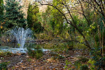 Magic pond with cascading fountain on emerald surface of water on blurry background of evergreens. Selective focus. Autumn landscape in evergreen garden. Nature concept for design.
