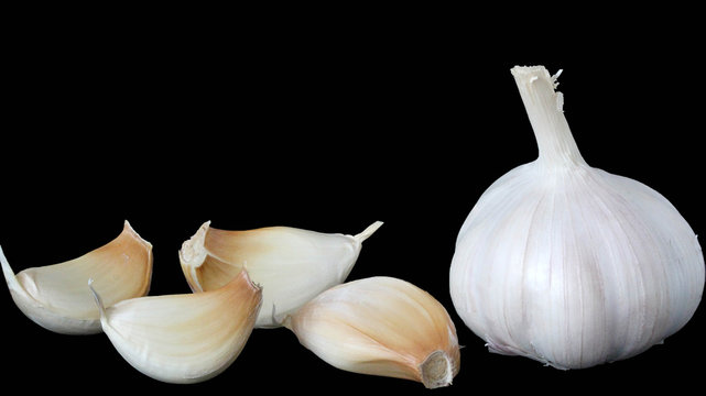 garlic on white background