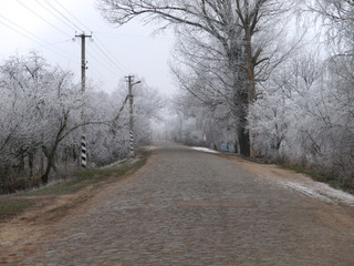 Ukrainian village in winter. Village road and trees in hoarfrost. A cold frosty day in the countryside. Rural or rustic motive. Ground and plants covered with rime or hoar