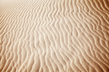 sand and wind patterns