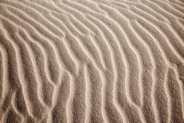 Fototapeta na wymiar sand and wind patterns
