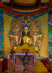 Fototapeta na wymiar Inside Norbulingka Institute Temple, Dharamsala, India.