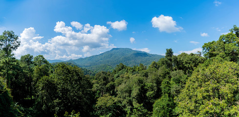 Obraz premium Natural atmosphere is a panorama concept.