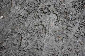 footprints in autumn mud