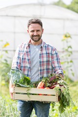 Farmer carrying organic vegetables in crate at greenhouse