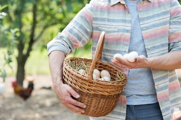 Farmer showing oranic eggs in farm