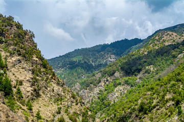 Mountains in Dharamshala, Himachal Pradesh, India