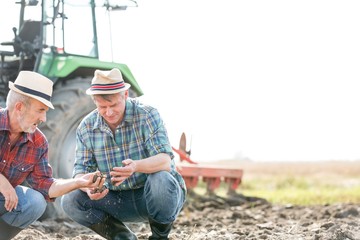 Farmers examining soil in field