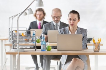 Row of business colleagues using laptops at desks in office